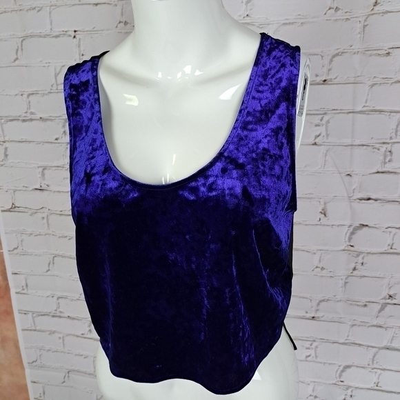 BAND of Gypsies Velvet Crop Top - Picture 5 of 10